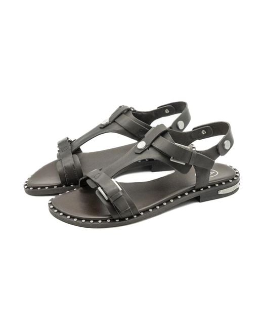 Ash Brown Flat Sandals