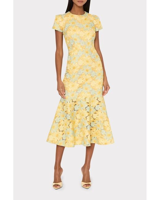 milly multi color lace dress MILLY Kait Trois Multi Color Lace Dress