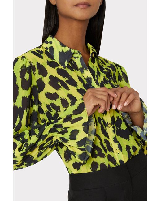 milly cheetah blouse