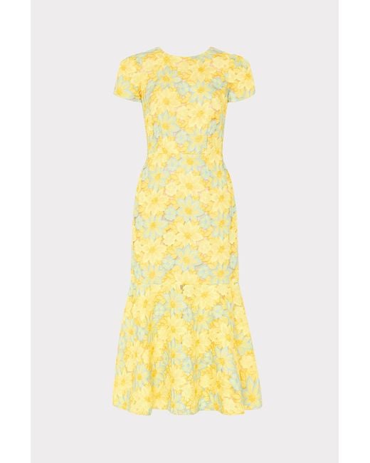 milly multi color lace dress Jasmine Embroidered Lace Dress in White/Green