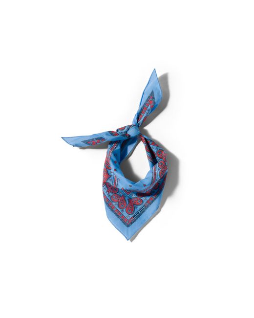 Miu Miu Blue Printed Twill Scarf