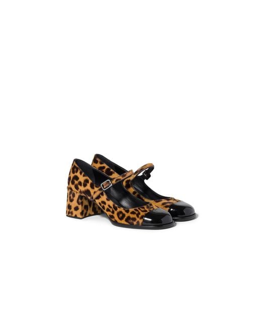 Miu Miu Multicolor Printed Leather Pumps