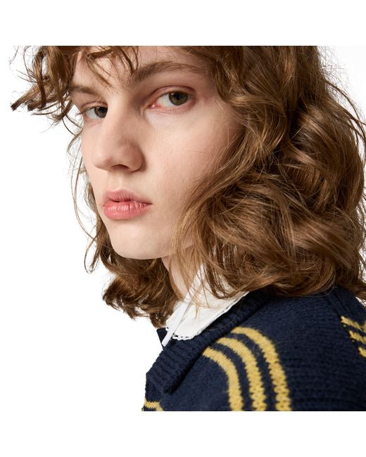 Miu Miu Black Wool And Cashmere Cardigan