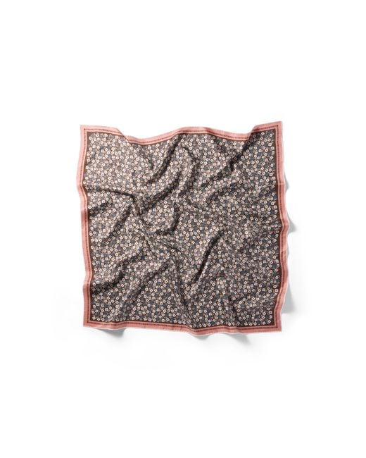 Miu Miu Gray Printed Twill Scarf