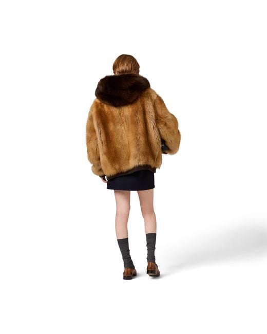 Miu Miu Brown Shearling Blouson Jacket