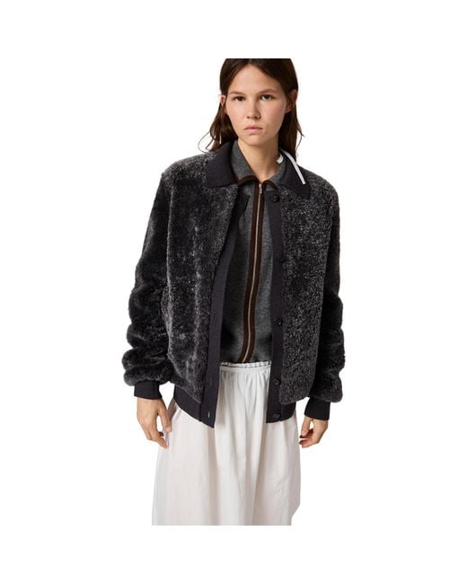 Miu Miu Black Shearling And Knit Blouson Jacket