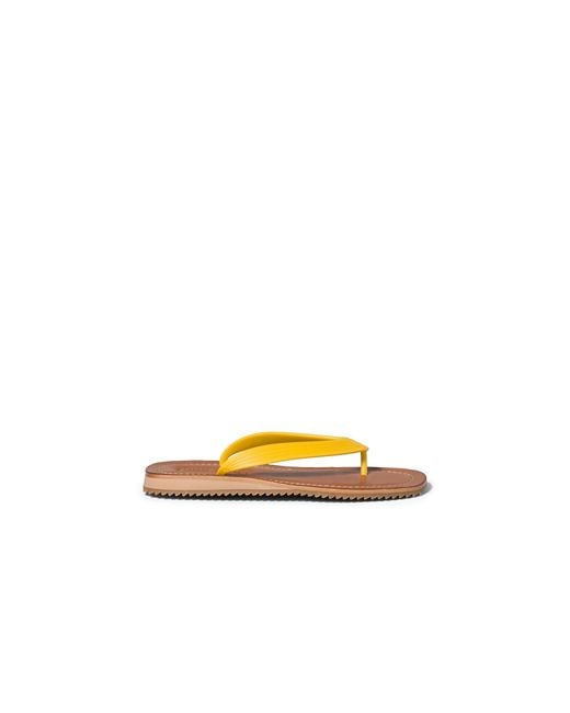 Miu Miu Yellow Thong Sandals