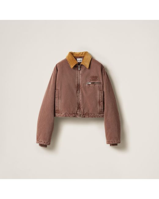 Miu Miu Gabardine Blouson Jacket With Velvet Collar in Brown