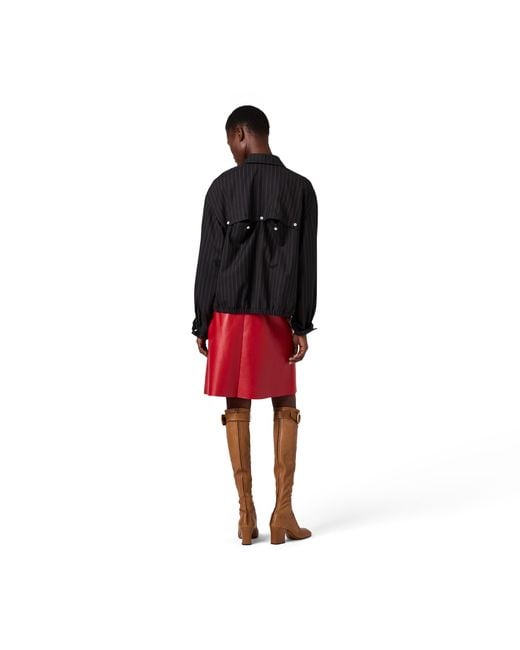 Miu Miu Black Pinstriped Blouson Jacket