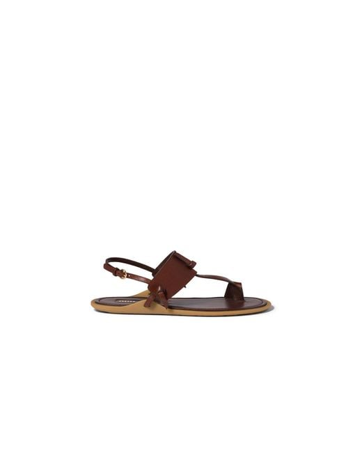 Miu Miu Brown Leather Thong Sandals