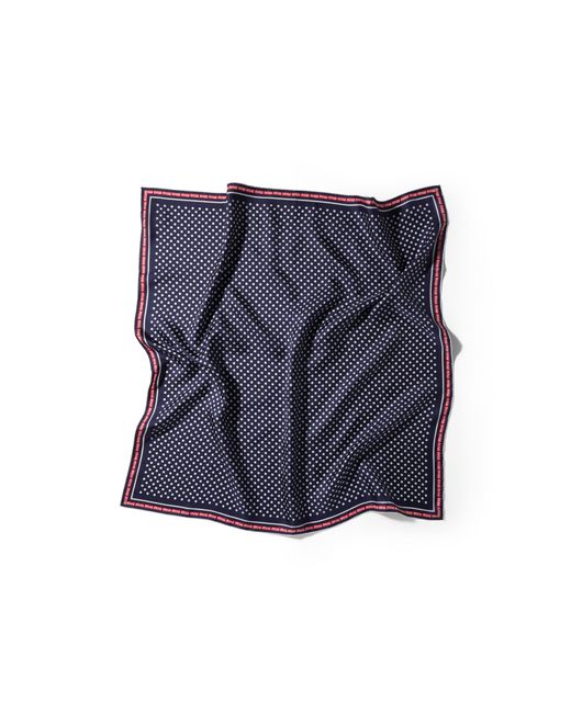 Miu Miu Blue Printed Silk Scarf