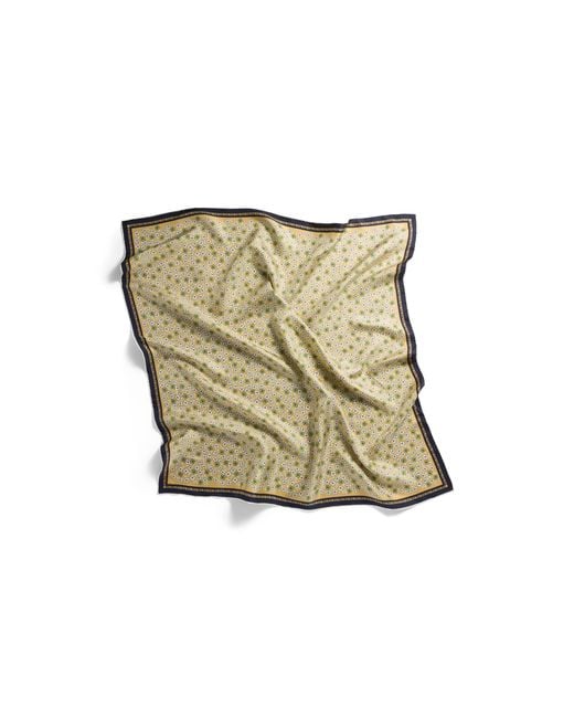 Miu Miu Natural Printed Twill Scarf