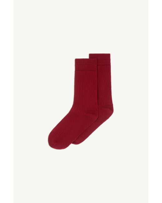 MM6 by Maison Margiela Red Wool Blend Socks