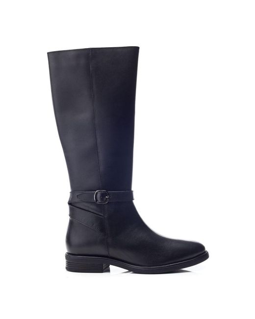 b.soleful Blue B.Dublin Leather