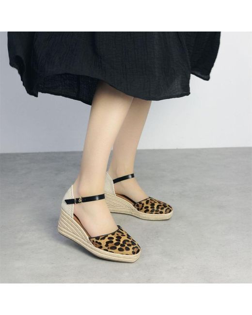 Moda In Pelle Brown Earll Leopard Pony Hair