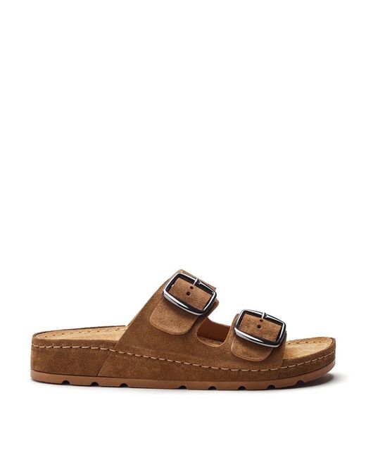 Shoon Brown Sh Elate Suede