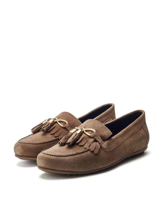 Moda In Pelle Brown Moda