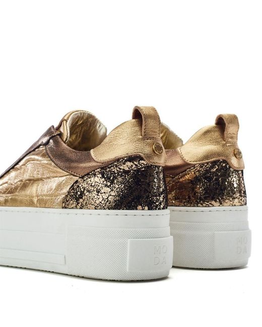 Moda In Pelle Brown Beach 50 Leather