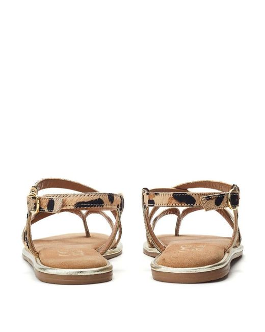 Moda In Pelle Brown Jacaran Leopard Pony Hair