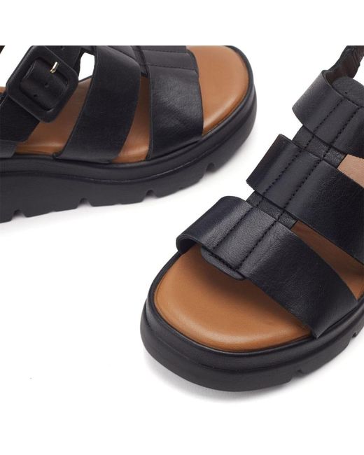 Shoon Blue Sh States Leather