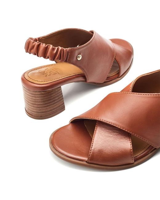 Moda In Pelle Brown Prinia Leather