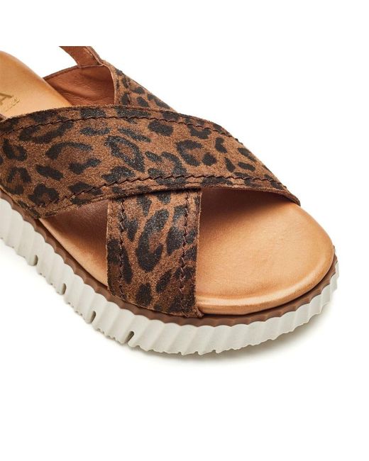 Moda In Pelle Brown Nellin Leopard Suede
