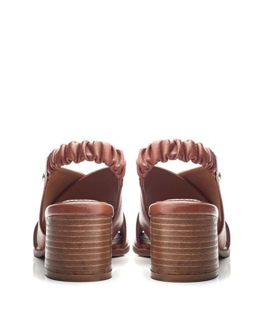 Moda In Pelle Brown Prinia Leather