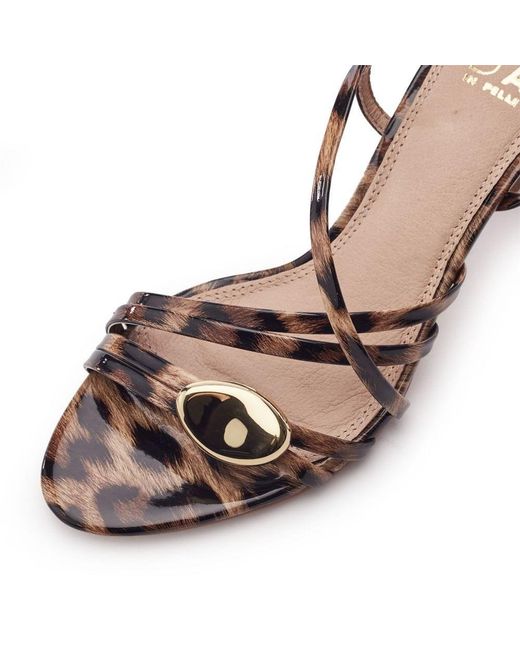 Moda In Pelle Brown Maleni