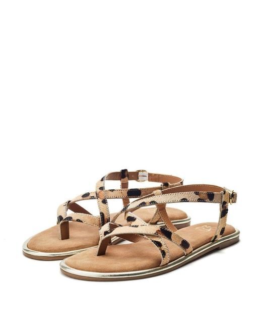 Moda In Pelle Brown Jacaran Leopard Pony Hair