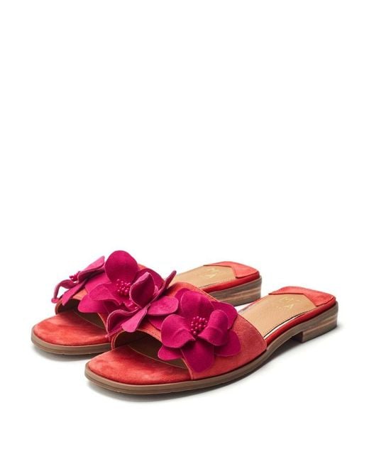 Moda In Pelle Red Laleh Suede