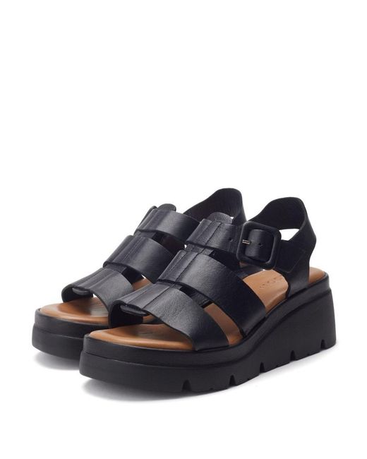Shoon Blue Sh States Leather