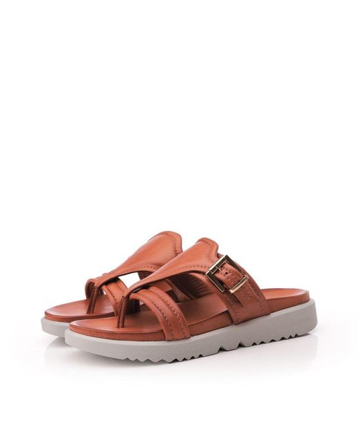 Shoon Brown Sh Impost Leather