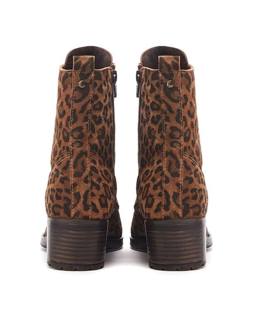 Moda In Pelle Brown Bezzie Dark Leopard Suede
