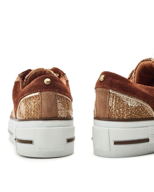 Moda In Pelle Brown Button Textile