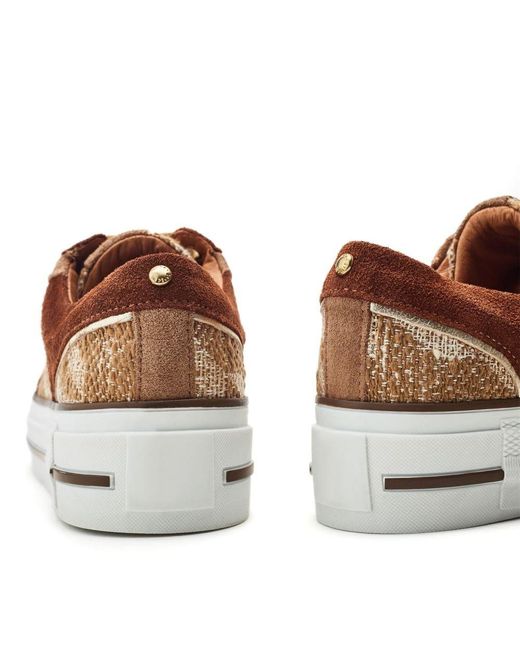 Moda In Pelle Brown Button Textile