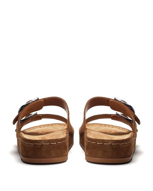 Shoon Brown Sh Elate Suede