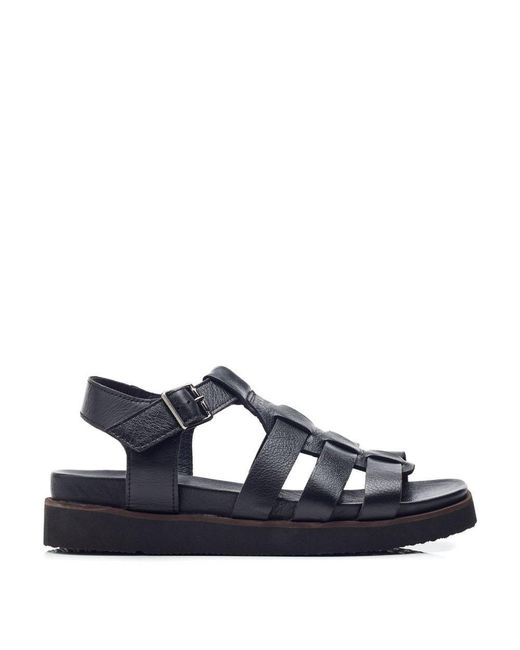 Shoon Blue Sh Shipshape Leather