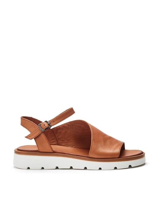 Shoon Brown Sh Moire Leather