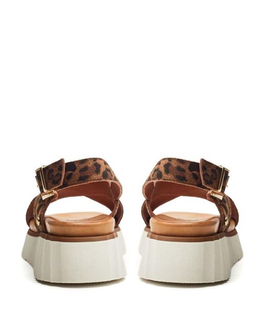 Moda In Pelle Brown Nellin Leopard Suede