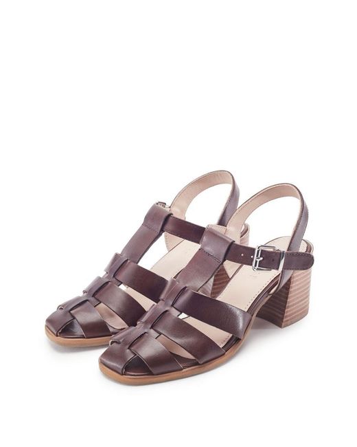 Shoon Purple Sh Gerrie Dark Leather
