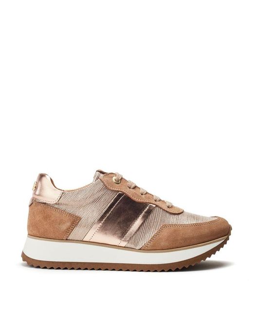 Moda In Pelle Brown Daffodil Rose Leather