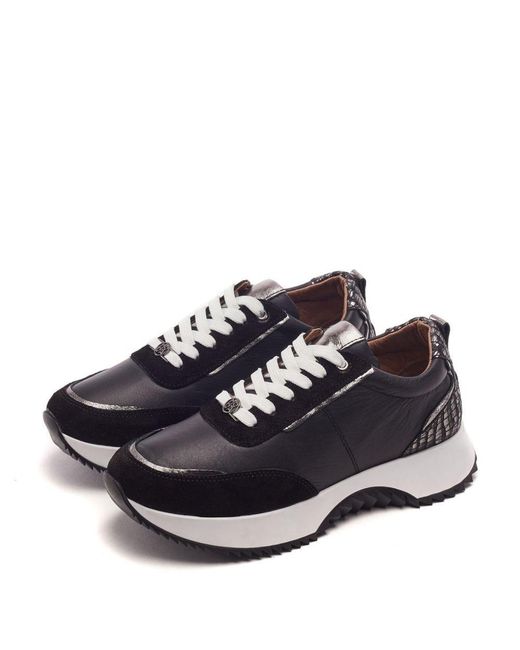 Moda In Pelle Blue Blaza Leather