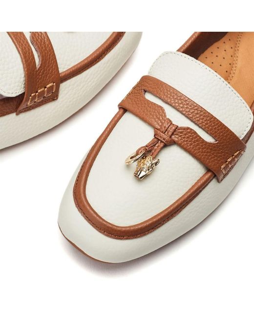 Moda In Pelle Brown Erythrina Off Leather