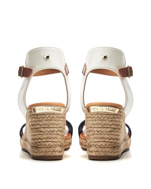 Moda In Pelle Brown Phyllis Navy-white Leather
