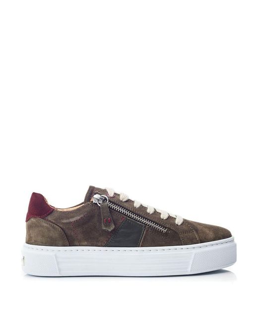 Shoon Brown Sh Ely Khaki Suede