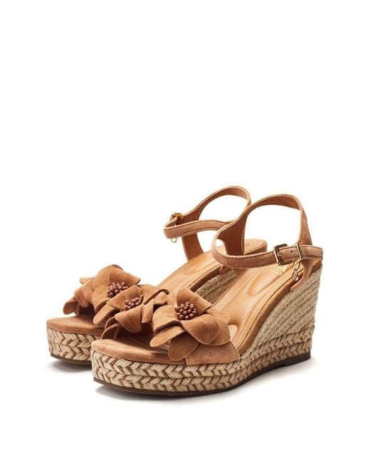 Moda In Pelle Brown Mistee Suede