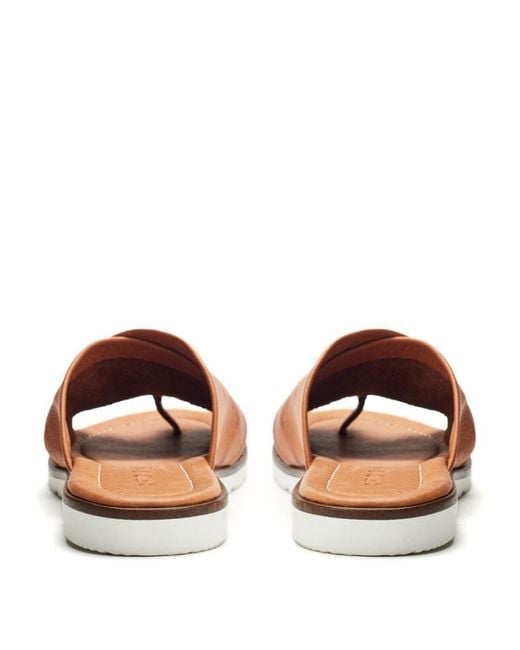 Shoon Brown Sh Malmo Leather