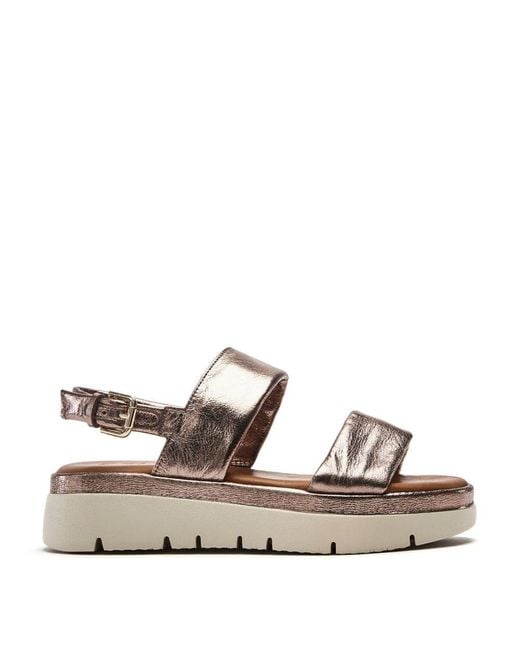 Moda In Pelle Brown Netty Pewter Leather