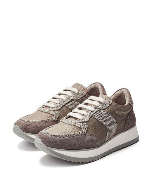 Shoon Gray Sh Eager Taupe Leather