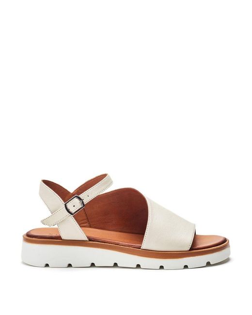 Shoon Brown Sh Moire Off Leather